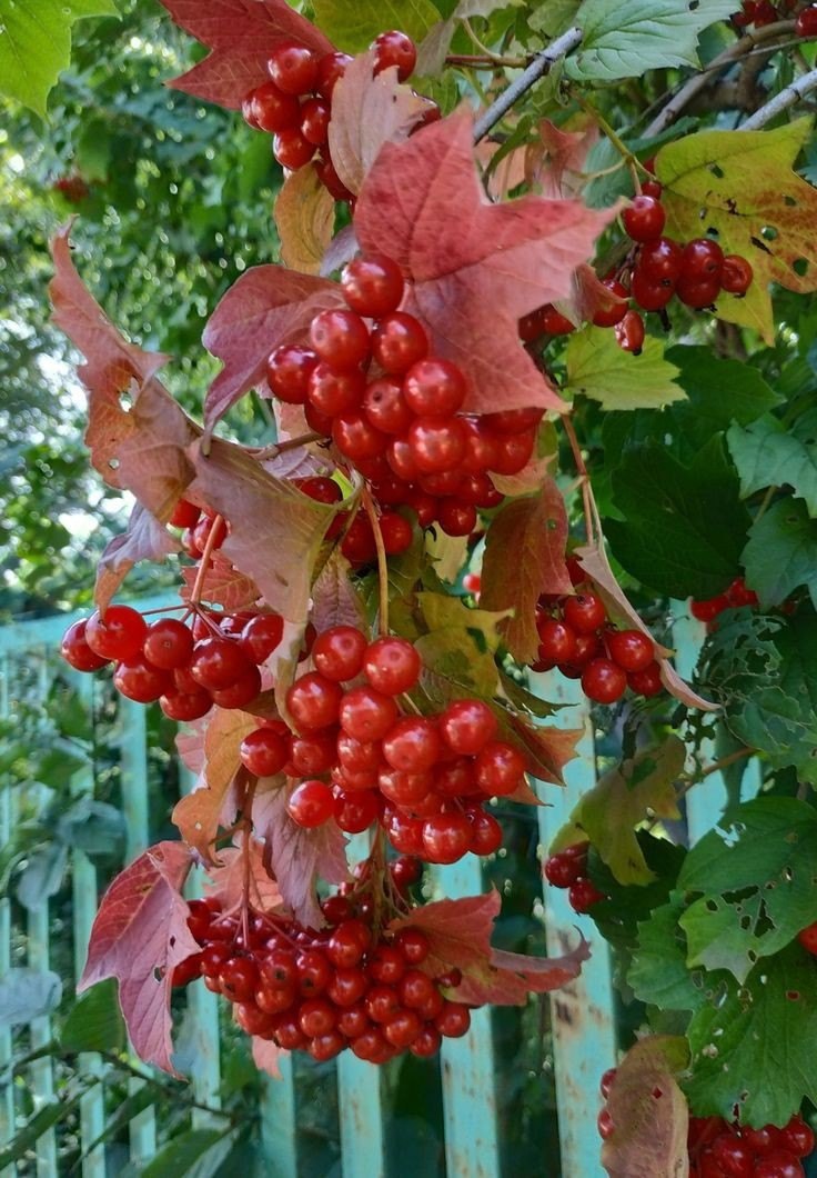      ,      ,     ... - 5