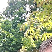 �������, 49 ���, ����