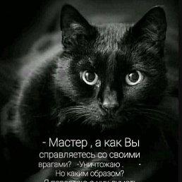 �����, ���������, 56 ���