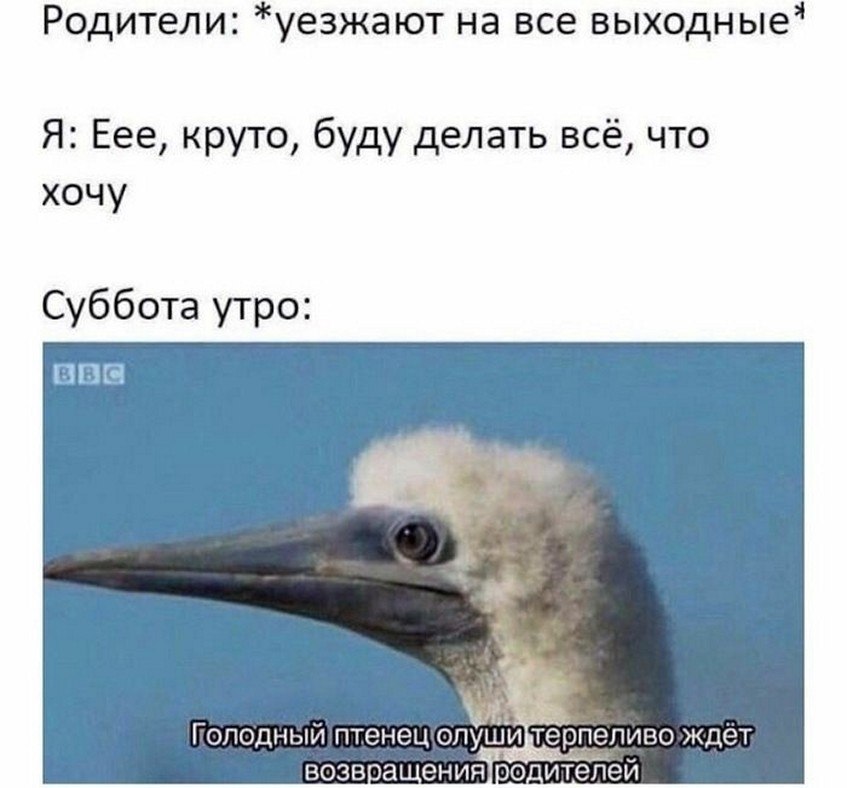 ? ,  ! - 13  2025  22:41