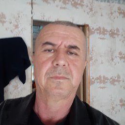 , 55 , 