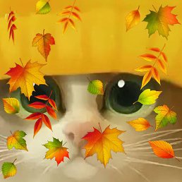 �����, ������, 57 ���