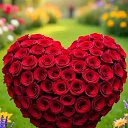 ���� Mahmud, ���������, 55 ��� - ��������� 3 ��� 2026
