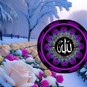���� �����, ������, 38 ��� - ��������� 12 ������� 2026 � ������ ���� ����������