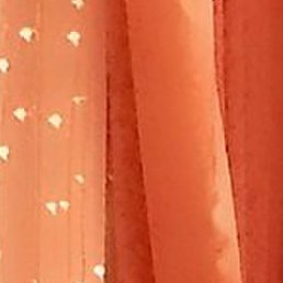 �����, �������, 54 ����