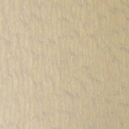 ���������, ����������, 49 ���