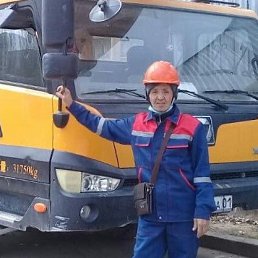 , 61, 