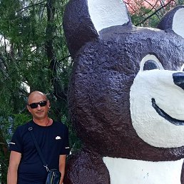 ������, �����������, 41 ���