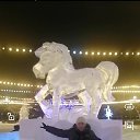 ���� ��������, ���������, 51 ��� - ��������� 30 ������ 2026 � ������ ���� ����������