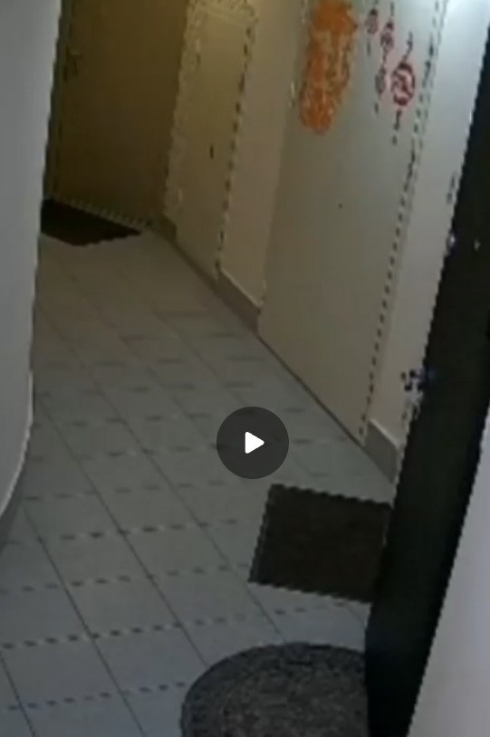           .  , ... - 2