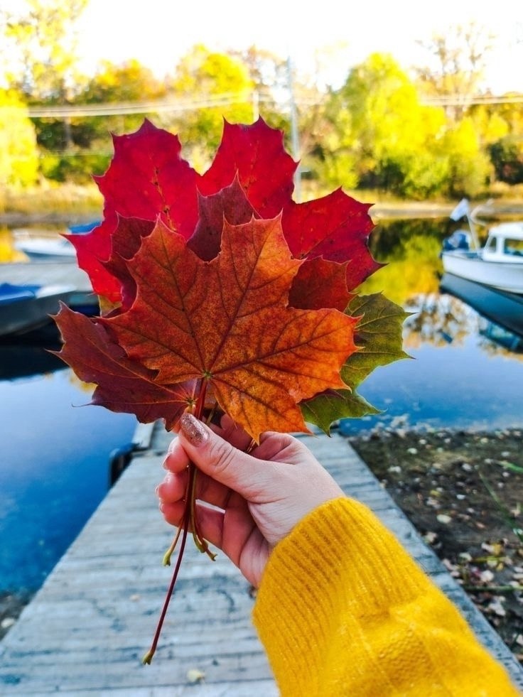 ��y��� ��� ����� ����� �a����� ��������