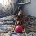 ���� ���������, ������-��-����, 44 ���� - ��������� 1 ������� 2025 � ������ ������ ��������