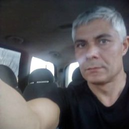 , 48, 