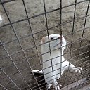 Фото Андрей, Барнаул, 44 года - добавлено 27 октября 2025