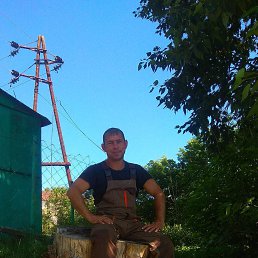 ������, 41 ���, �����