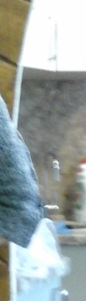 �����, ���������, 62 ����