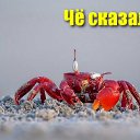 ���� ����������, ���������, 59 ��� - ��������� 24 ���� 2026 � ������ ������ ��������