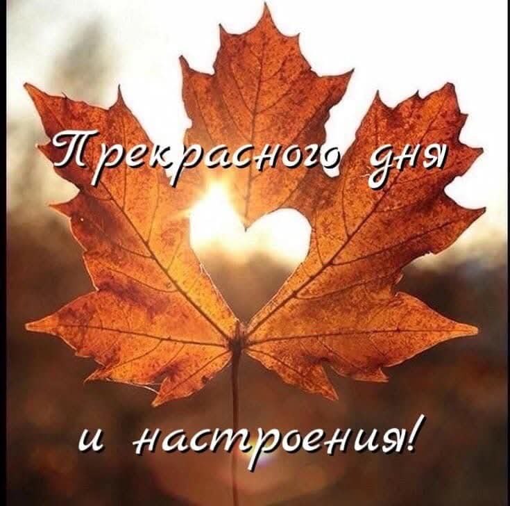   ,    . - 29  2025  11:34