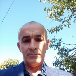 , 45, 