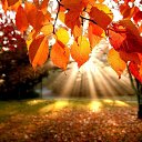 ���� ������, ����, 49 ��� - ��������� 1 ������� 2023 � ������ ������ ��������