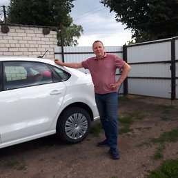 �������, ���������, 43 ����