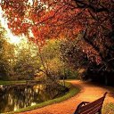 ���� �����, ����������� - ��������� 15 ������� 2025 � ������ ������ ��������