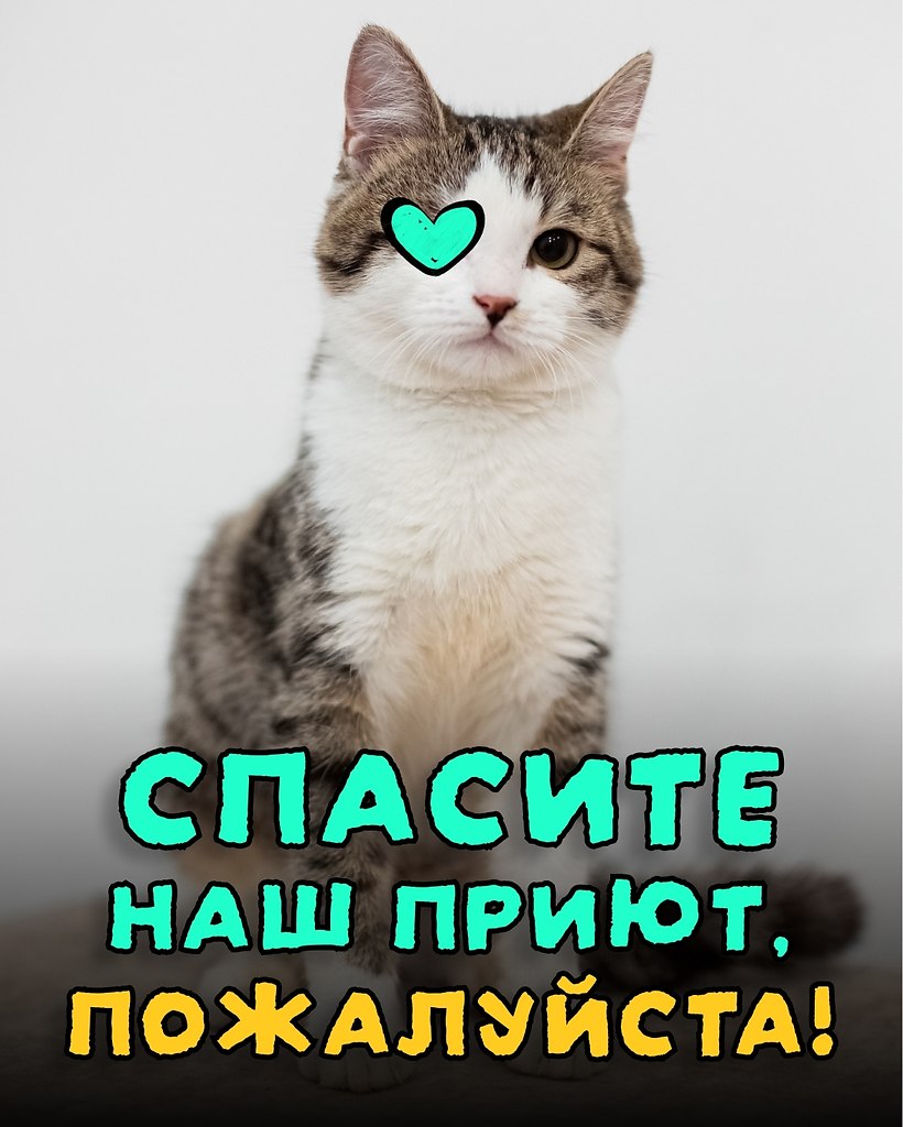 � ������ 117 ����� � ����� ����� ���������. �� �� ������, �� �� ������ � �� ����, ��� ��� ���������. ...