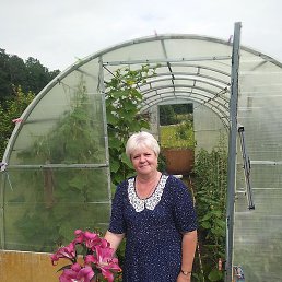 �������, ����, 58 ���