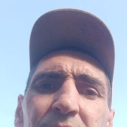  , 49 , 