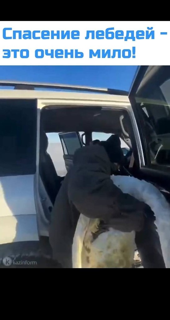 ������ ���: ������ ���������� ���� ���� �������, ��������� ���� �����, �� ������� �������. �� ����� ... - 2