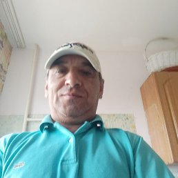 , 50, -