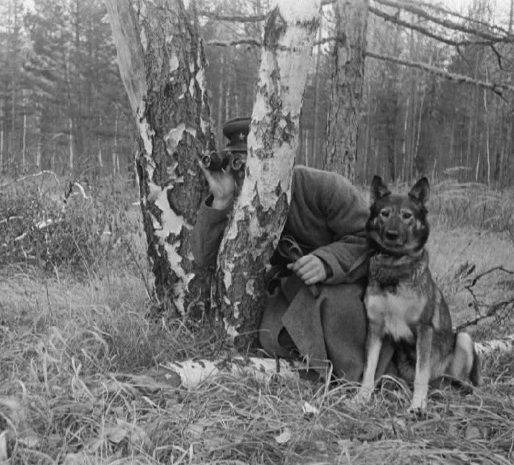 :)   .    1941         ... - 3
