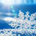 ���� ������, ����� - ��������� 31 ������� 2023 � ������ ������ ��������