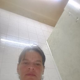 , 43 , 