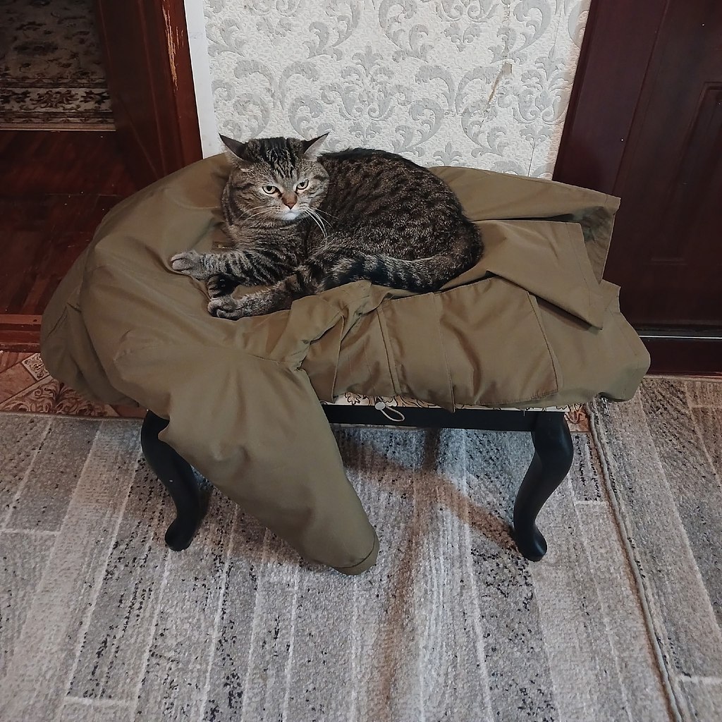 � ���� �� ���������