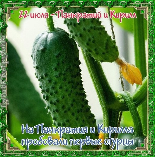 Именины: Кирилл, Константин, Андрей, Александр, Федор, Михаил, Иван