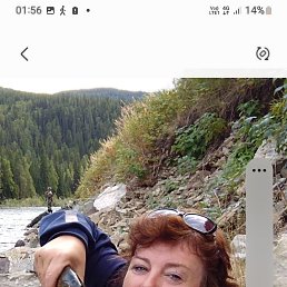 , 53, -