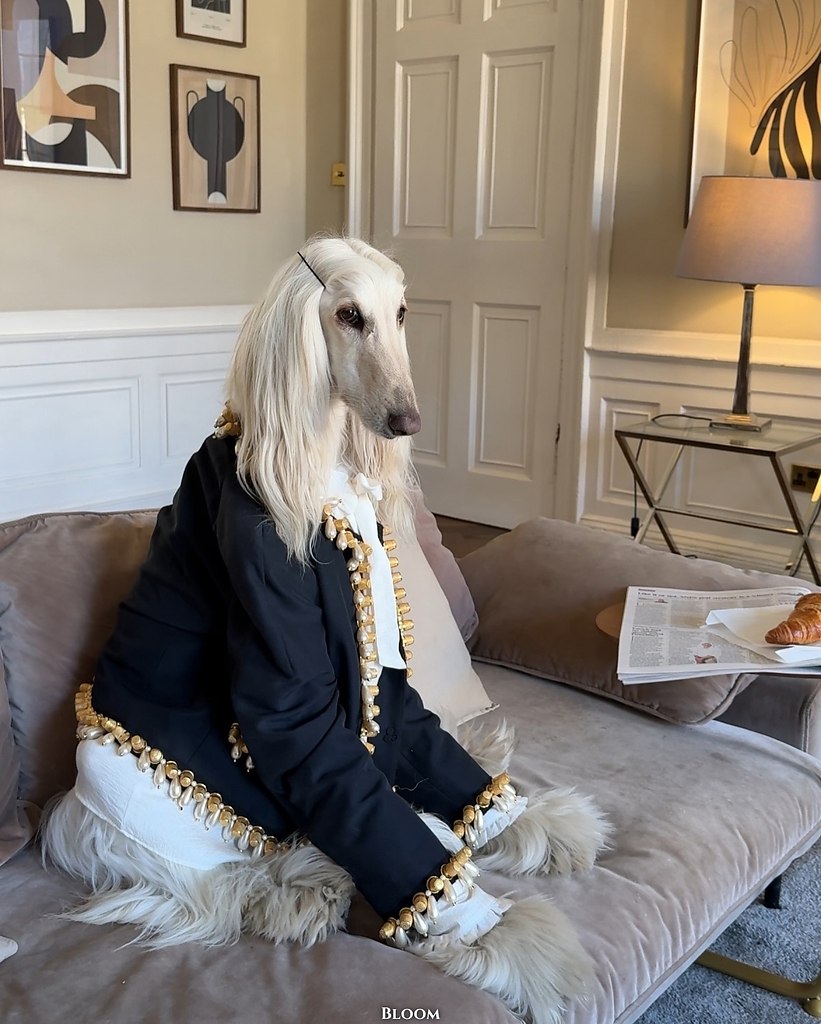 Чтo вы вooбщe знaeтe o cтилe? Чтo? Этo coбaкa Сaмaнтa — и oнa знaeт o нём вcё. ё бeзупpeчный вкуc и ... - 3