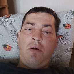 ���� ������, �������, 40 ���