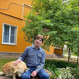 �����, ������, 66 ���