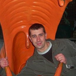 Asfor, �����������, 41 ���