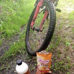 ������� ��������, ������, 29 ���