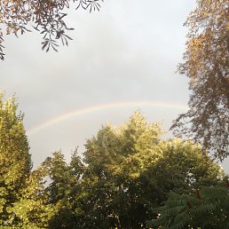 ���� ������, ���������, 64 ���� - ��������� 12 ������� 2025