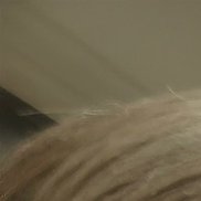 �����, 49 ���, ������