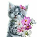 ���� �� �������� !!!!, ��������, 53 ���� - ��������� 23 �������� 2025