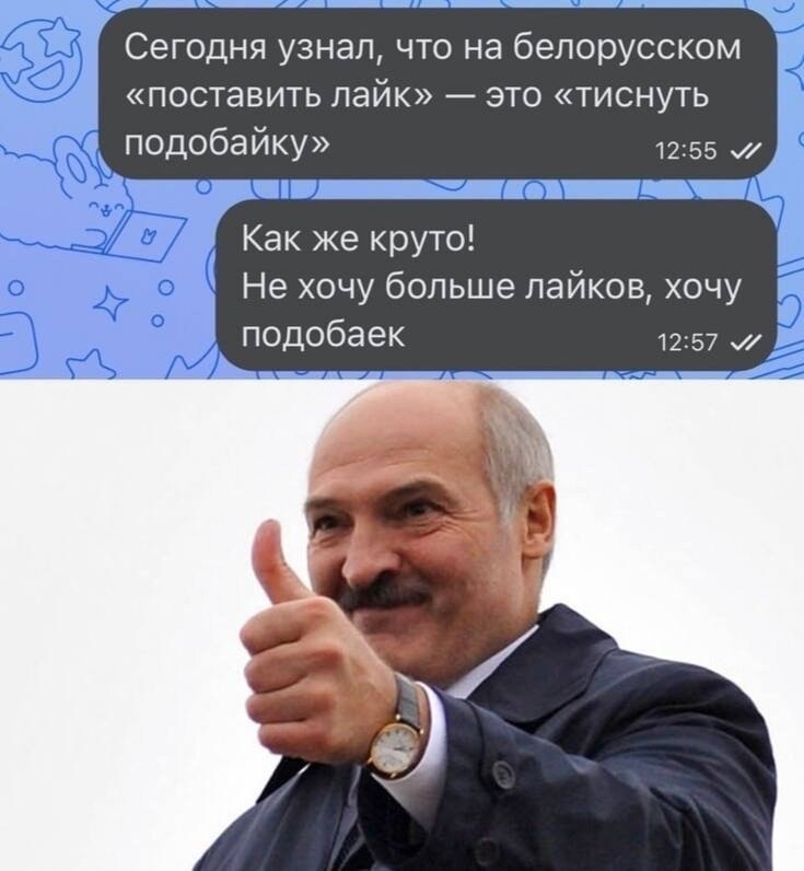   - 21  2024  11:37