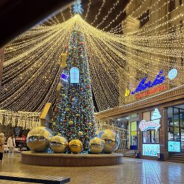 Aaaa, �����, 37 ���