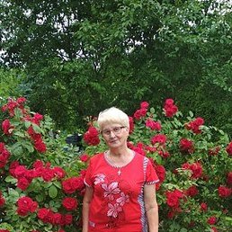 ���������, ������