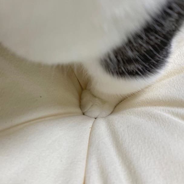        ! - 3