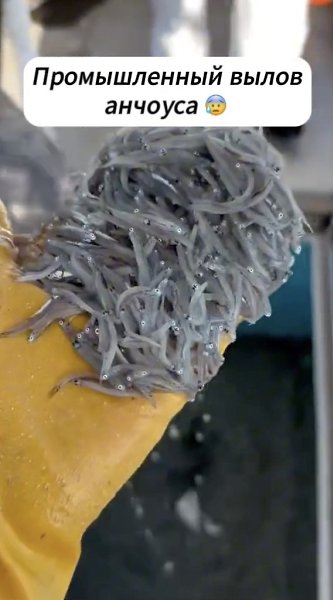 ��� �� �����, � �� ������.������